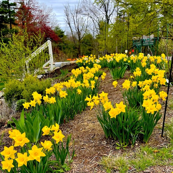 Meet your Posher, MrsPeck - Picture 3 of 6